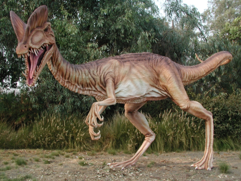 Dilaposaurus