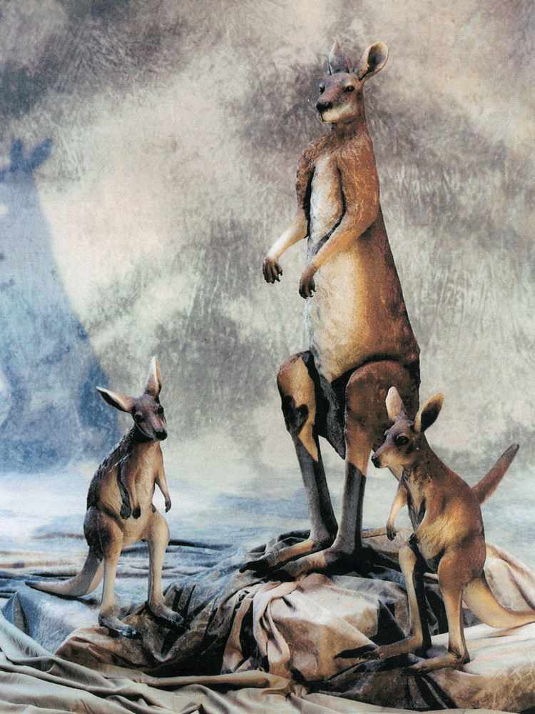 6 Kangaroo